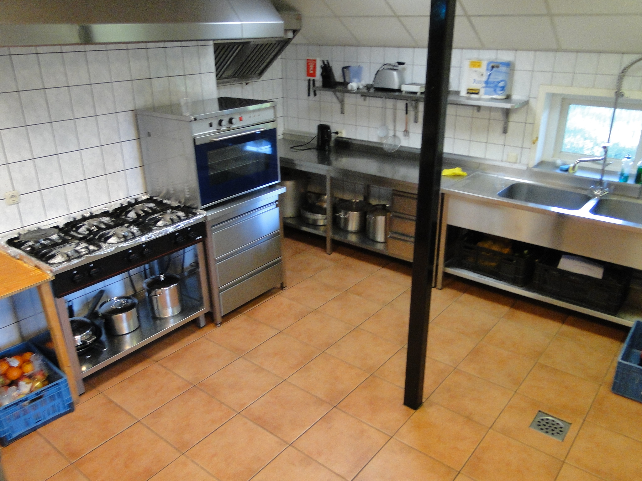 2011HWK 027.jpg